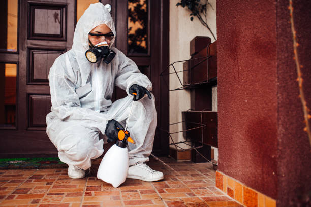 Reliable Ant Control contractor in Clinton, MI by Nex Pest Control