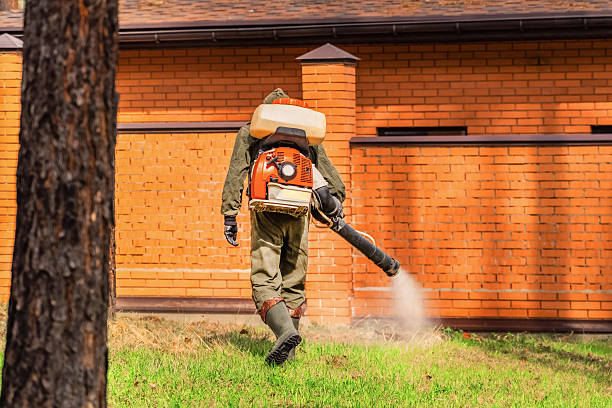 Trusted Cockroach Control service in Clinton, MI - Nex Pest Control